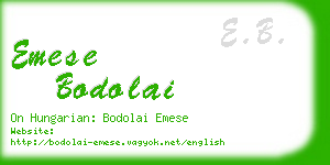 emese bodolai business card